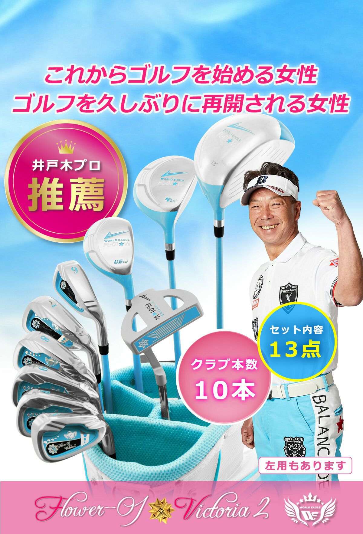 極美品 WORLD EAGLE ワールドイーグル フルセット 初心者 FL-01 WORLD EAGLE ランキング受賞！ ゴルフクラブセット ワールドイーグル