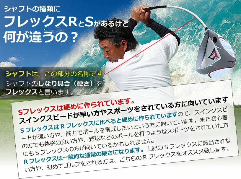 000000003553-04.jpg?size=l&w=