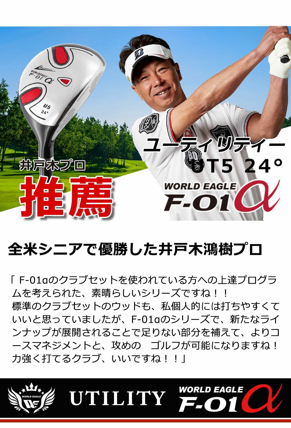 ワールドイーグル F-01α メンズ ステンレス ユーティリティ UT5 24度