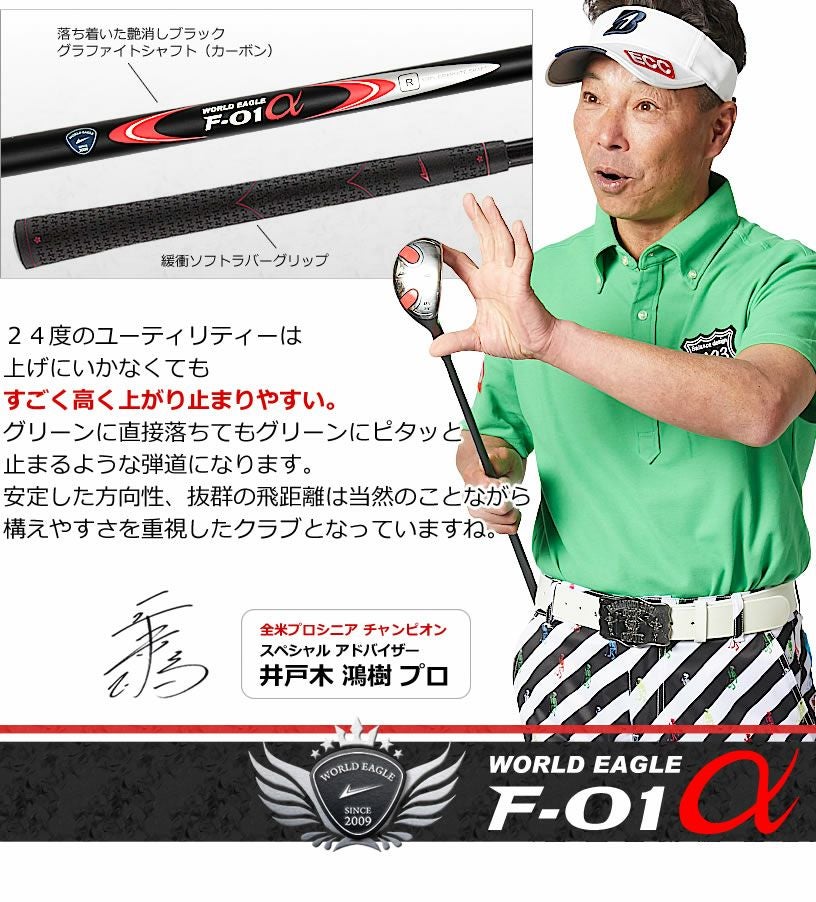 ワールドイーグル F-01 メンズ 12点（10本）クラブセット バッグなし