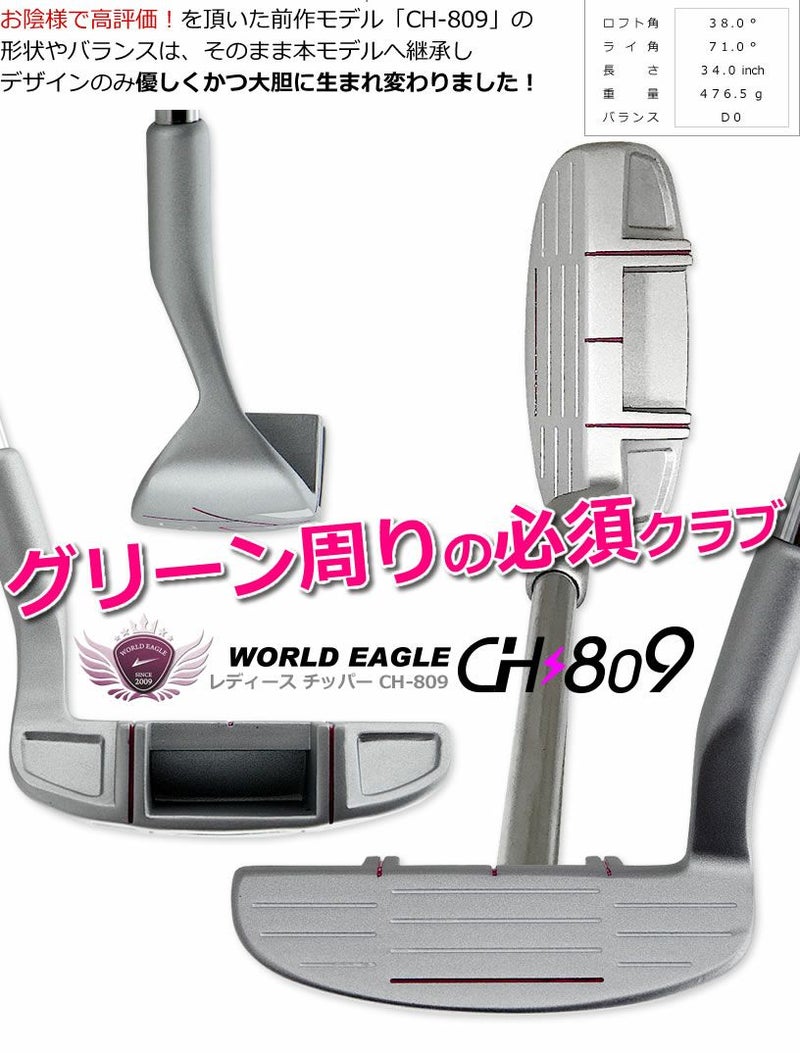 ワールドイーグル FL-01☆V2 レディース 12点（10本）クラブセット 