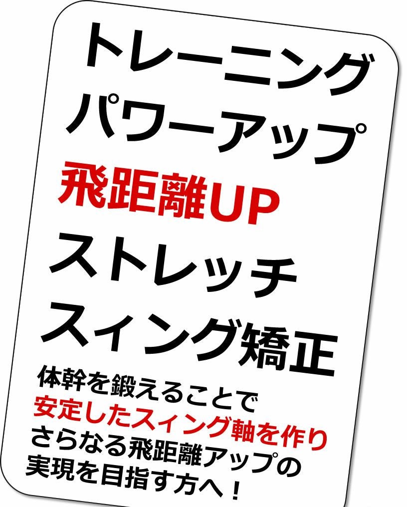 ワールドイーグル ゴルフ練習器具 井戸木鴻樹プロが考案したスイング