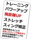 ゴルフ練習器具井戸木鴻樹プロが考案したスイング練習用クラブ重量アイアンヘッドスピードがアップトレーニング、パワーアップ、飛距離UP、ストレッチ、スイング矯正！