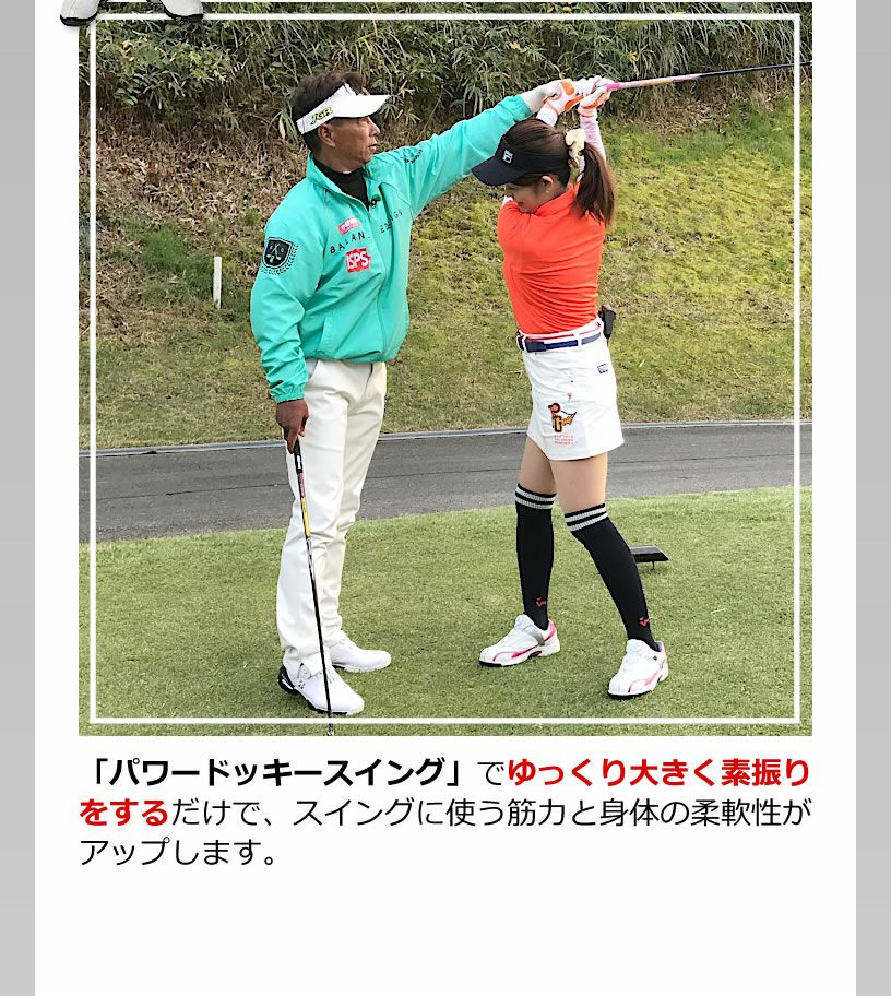 ワールドイーグル ゴルフ練習器具 井戸木鴻樹プロが考案したスイング