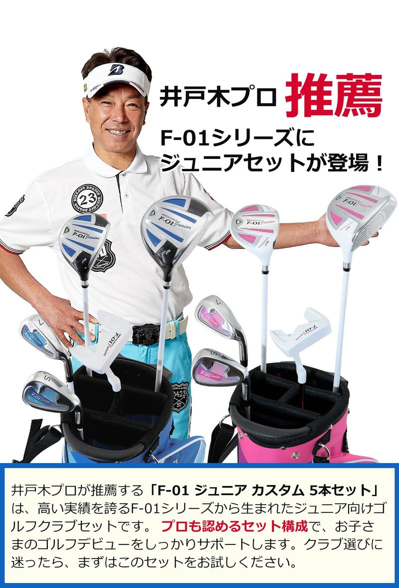ワールドイーグル ジュニア カスタム ゴルフクラブ5本セット WE-JA5GS 