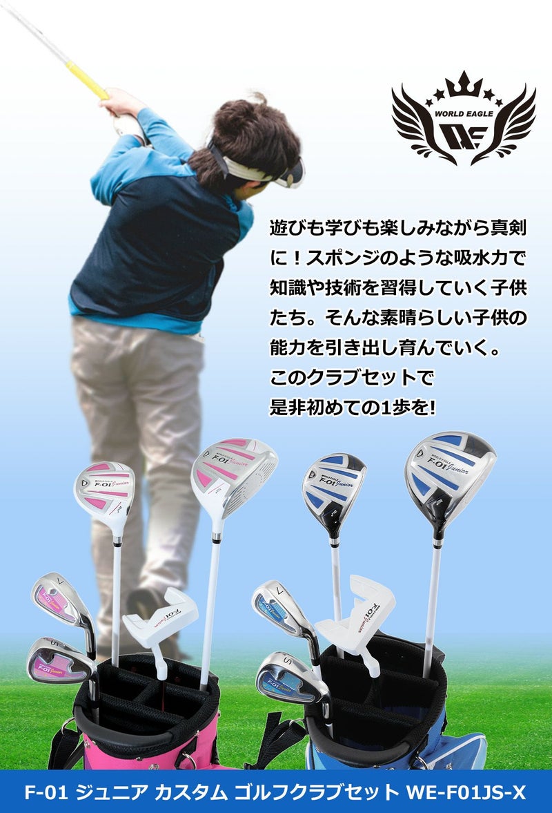 ワールドイーグル ジュニア カスタム ゴルフクラブ5本セット WE-JA5GS 